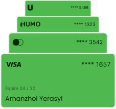 UZCARD, HUMO, Mastercard, VISA